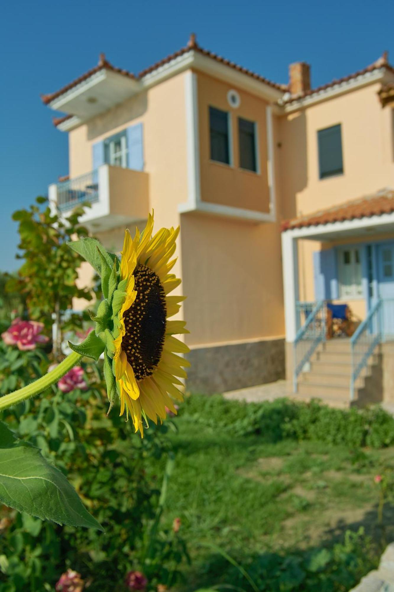 Villa Marita Lisvori Esterno foto
