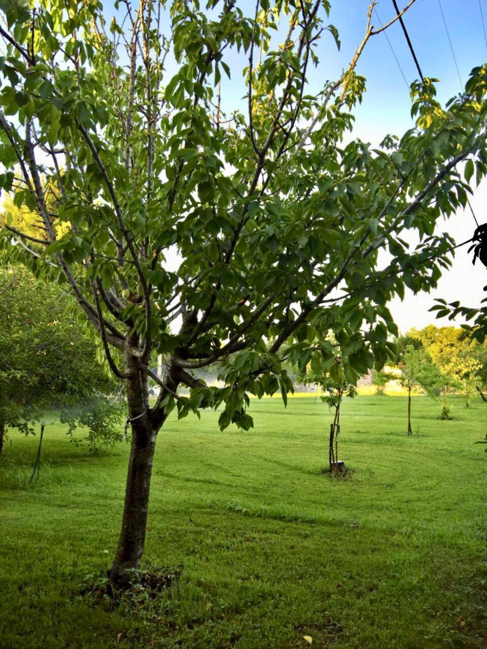 Villa Marita Lisvori Esterno foto