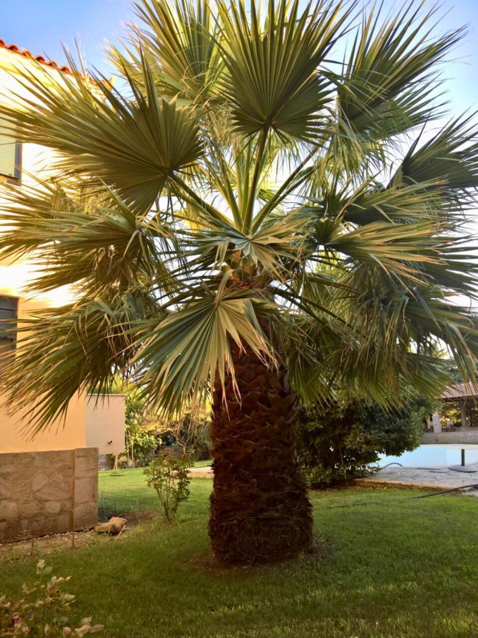 Villa Marita Lisvori Esterno foto