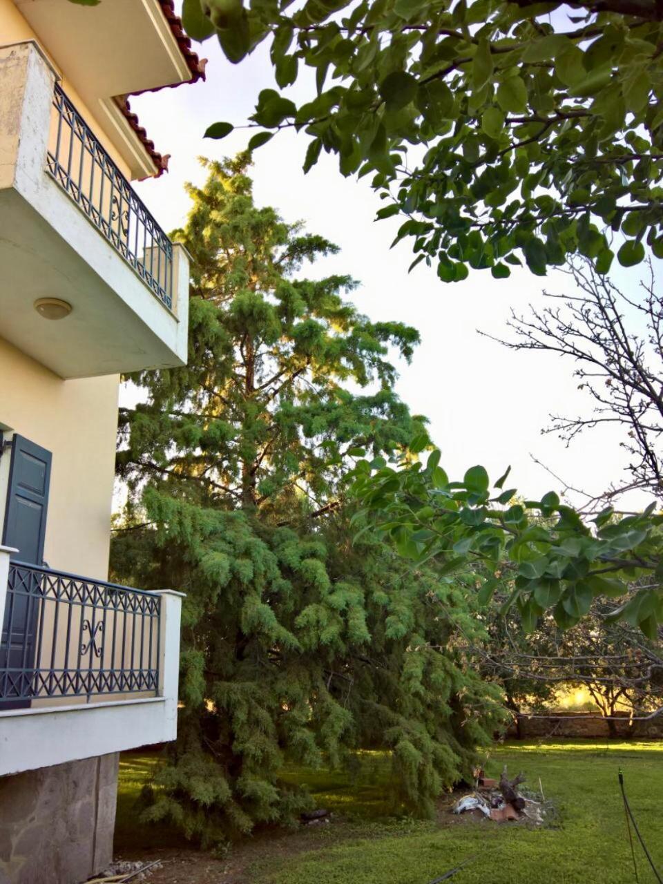 Villa Marita Lisvori Esterno foto