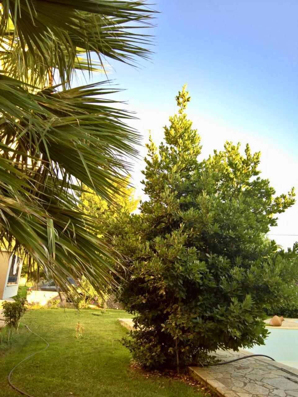 Villa Marita Lisvori Esterno foto