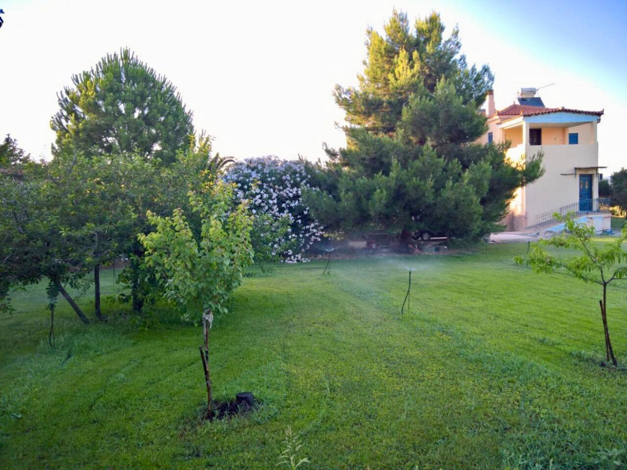 Villa Marita Lisvori Esterno foto