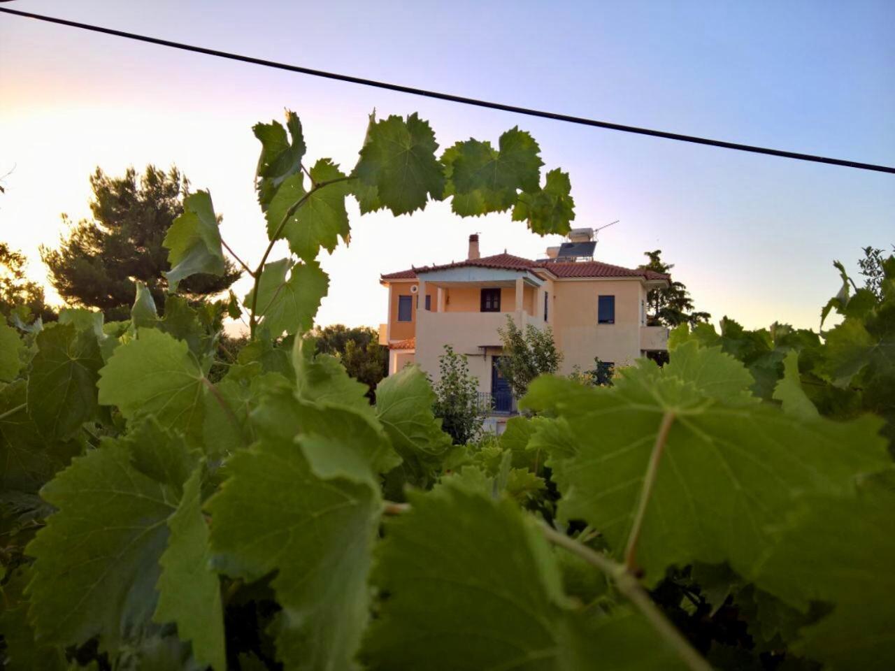 Villa Marita Lisvori Esterno foto