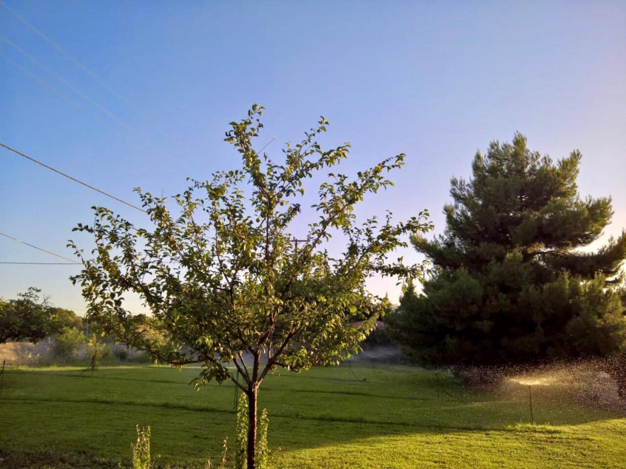 Villa Marita Lisvori Esterno foto