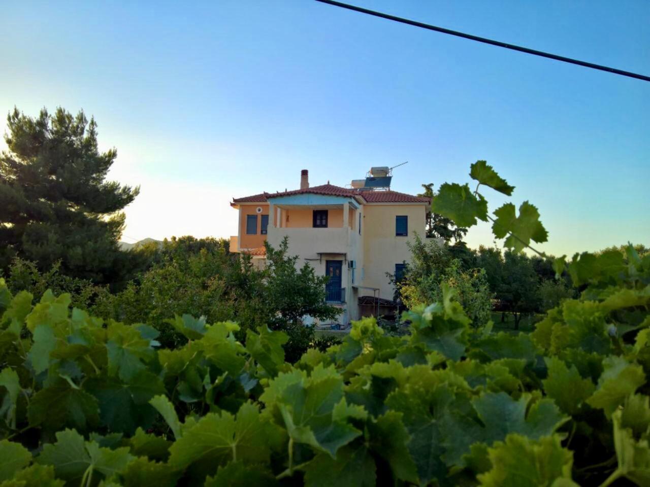 Villa Marita Lisvori Esterno foto